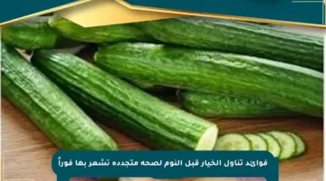 فوائد تناول الخيار قبل النوم لصحة متجددة تشعر بها فوراً